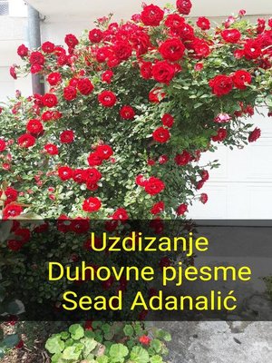 cover image of Uzdizanje Duhovne pjesme
